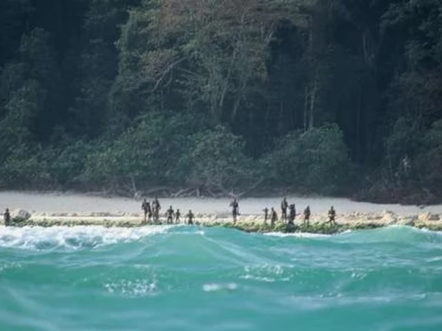 the sentinelese have been seen standing guard when people approach the island previously supplied christian caron the sentinelese have been seen standing guard when people approach the island previously supplied christian caron