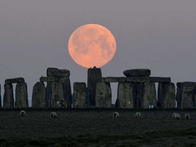 pink supermoon dazzles night sky photo reuters pink supermoon dazzles night sky photo reuters