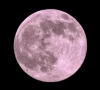 pink moon also known as micromoon to appear tomorrow