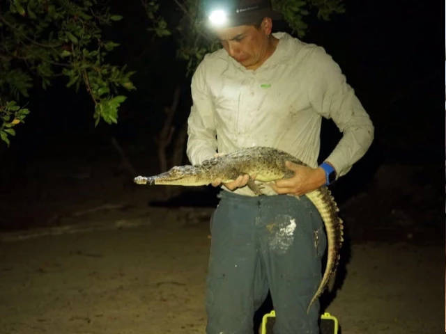 professor hans larsson with newly identified crocodile species mcgill university professor hans larsson with newly identified crocodile species mcgill university