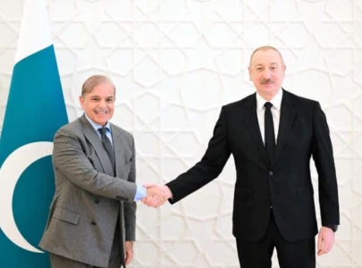 pm shehbaz vows to defend pakistan s sovereignty