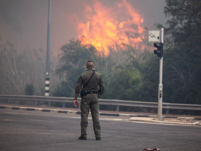 A security member stands while smoke and flame rise, as wildfires caused by extreme heat and winds broke out in central Israel, near Latrun, Israel, on Wednesday, 30 April, 2025. Photograph: Oren Ben Hakoon/Reuters