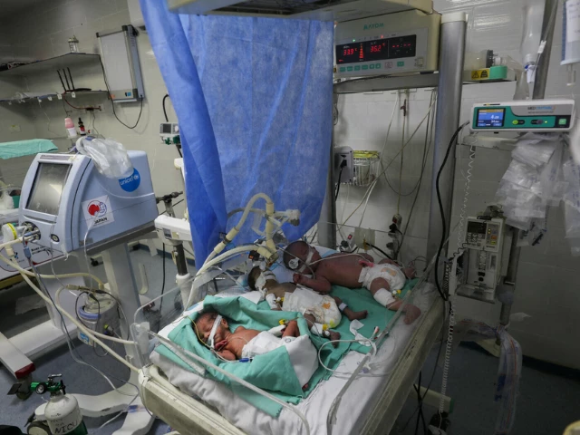 palestinian newborns share an incubator at al helou hospital due to fuel crisis according to medics amid the israeli military offensive in gaza city on july 10 2025 reuters mahmoud issa