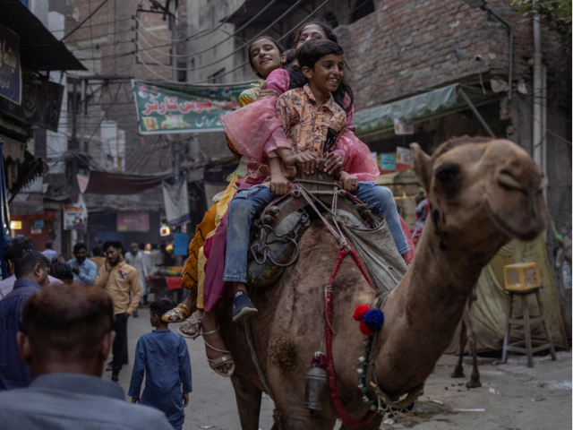 Cousins celebrate Eid al-Adha with camel ride through Walled City of Lahore Saturday, 7th June 2025, 22:59