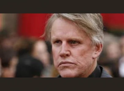 gary busey pleads guilty to criminal sexual contact gary busey pleads guilty to criminal sexual contact
