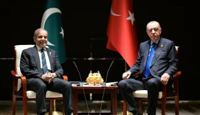 erdo an pledges solidarity with flood hit pakistan on sco sidelines