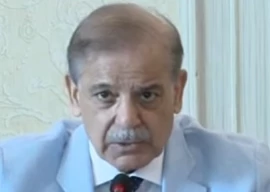 flood relief rehabilitation are collective responsibility pm shehbaz flood relief rehabilitation are collective responsibility pm shehbaz