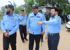 family feud claims life family feud claims life