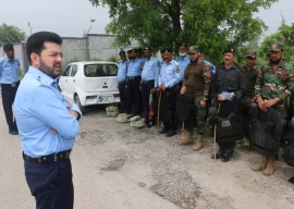 four arrested for hitting traffic cop four arrested for hitting traffic cop