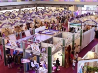 wexnet 23 a three day extravaganza redefining women empowerment and success in the business world