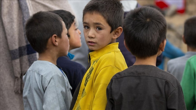 who urges immediate action after deaths from children s cough syrups who urges immediate action after deaths from children s cough syrups