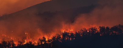 heat waves and the ticking climate bomb