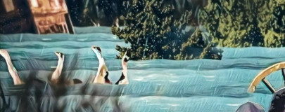 after flood pestilence after flood pestilence