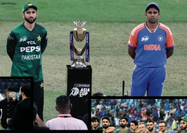 cricket lost in controversy cricket lost in controversy