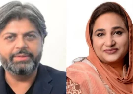 psl director sohaib sheikh and women s cricket head tania mallick resign from pcb