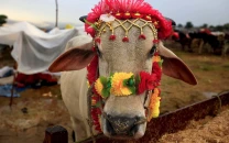 when will eidul adha 2025 be celebrated in pakistan