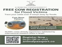 ai app to help farmers trace livestock during floods ai app to help farmers trace livestock during floods