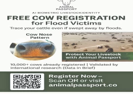 ai app to help farmers trace livestock during floods ai app to help farmers trace livestock during floods