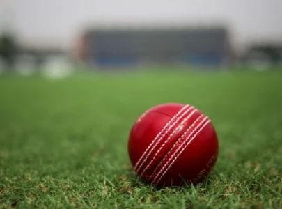 cricketer shot dead outside his home