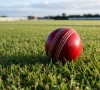 cricket security halts court hearings