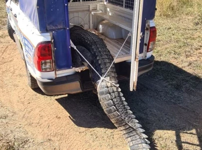 residents of this town ended their crocodile problem by eating it residents of this town ended their crocodile problem by eating it