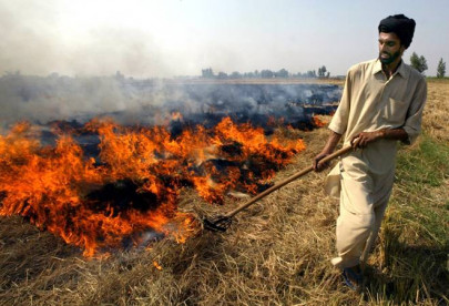 as indian farmers torch fields in protest modi feels the heat