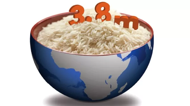 pakistan to lead global rice exports in 2010 fao pakistan to lead global rice exports in 2010 fao
