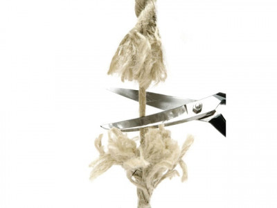 cost cutting steps punjab govt shuts down five companies cost cutting steps punjab govt shuts down five companies