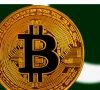 pakistan s crypto gamble