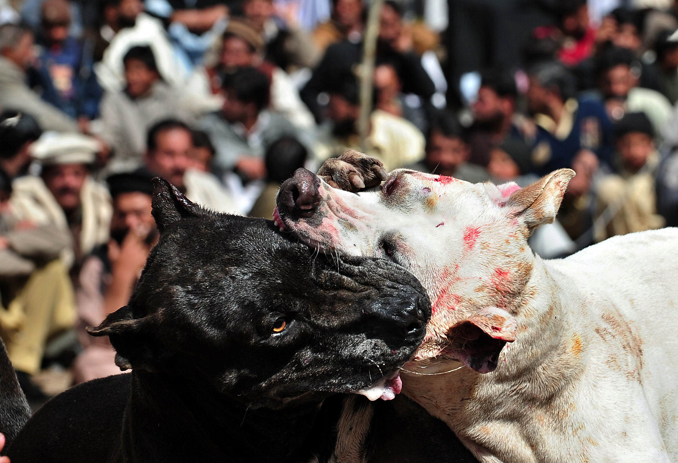 Updated Feb 28, 2011