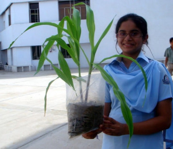 learning to grow paradise from a seed learning to grow paradise from a seed