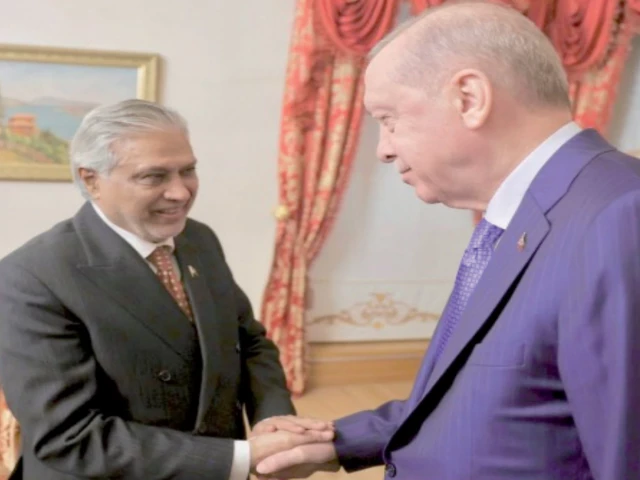 dpm ishaq dar shakes hands with turkish president recep tayyip erdogan in istanbul photo app dpm ishaq dar shakes hands with turkish president recep tayyip erdogan in istanbul photo app