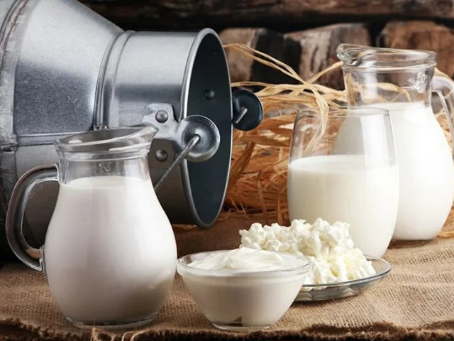 Dairy industry seeks policy support to expand exports