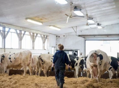 us european nations consider vaccinating workers exposed to bird flu us european nations consider vaccinating workers exposed to bird flu