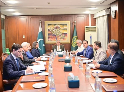 dpm dar directs intensified diplomatic efforts for safe early release of 10 pakistani hostages