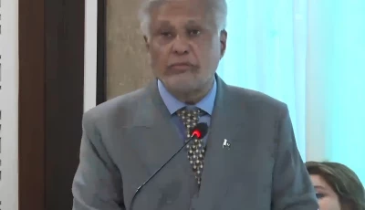 deputy prime minister and foreign minister ishaq dar addressing the codel and us business delegation july 28 2026 screengrab