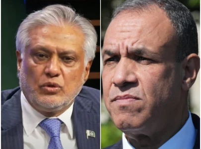 dpm egyptian fm discuss regional developments dpm egyptian fm discuss regional developments