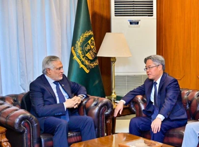 fm dar reaffirms commitment to advancing pak china iron clad partnership