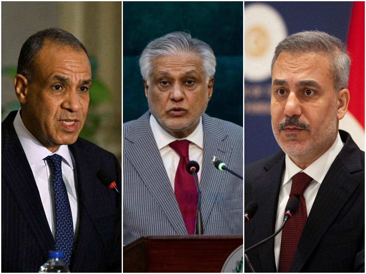 Dar discusses regional situation with Turkish and Egyptian counterparts