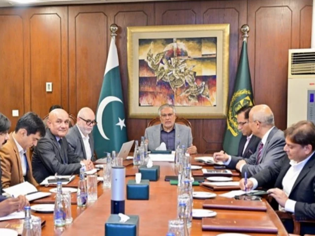 deputy prime minister and foreign minister ishaq dar chairs the 7th meeting of the national steering committee on fuel subsidy on monday photo x deputy prime minister and foreign minister ishaq dar chairs the 7th meeting of the national steering committee on fuel subsidy on monday photo x