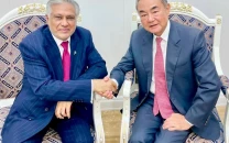 dar chinese fm discuss bilateral ties on sco summit sidelines