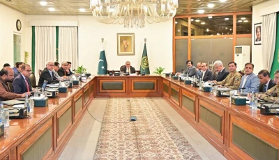 deputy pm and foreign minister ishaq dar chairs meeting to review petroleum stocks on thursday photo app