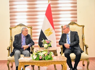 fm dar arrives in cairo to attend r 4 foreign ministers meeting fm dar arrives in cairo to attend r 4 foreign ministers meeting
