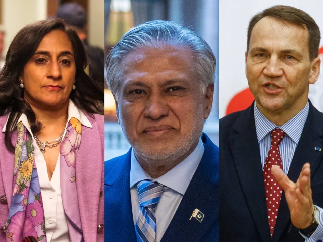 Polish DPM, Canadian FM commends Pakistan's role in US-Iran ceasefire in call with Dar