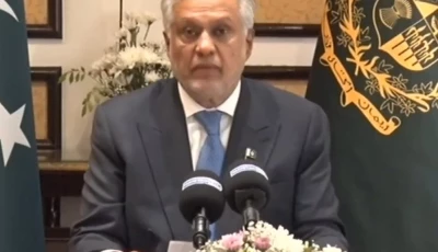 deputy prime minister and foreign minister ishaq dar screengrab deputy prime minister and foreign minister ishaq dar screengrab