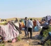 over 10 000 people displaced in three days in sudan un