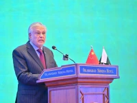 deputy prime minister ishaq dar photo app
