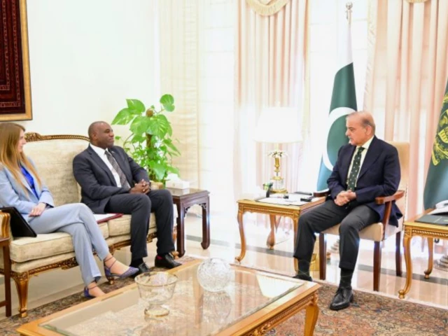 british foreign secretary david lammy calls on prime minister shehbaz sharif in islamabad on friday may 16 2025 photo pid british foreign secretary david lammy calls on prime minister shehbaz sharif in islamabad on friday may 16 2025 photo pid