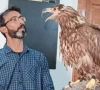 rescued bird recovers 90 and is set to return to the wild in december
