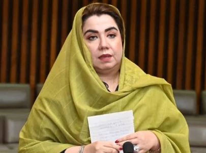 rs18 46b irregularities reported in economic zones company